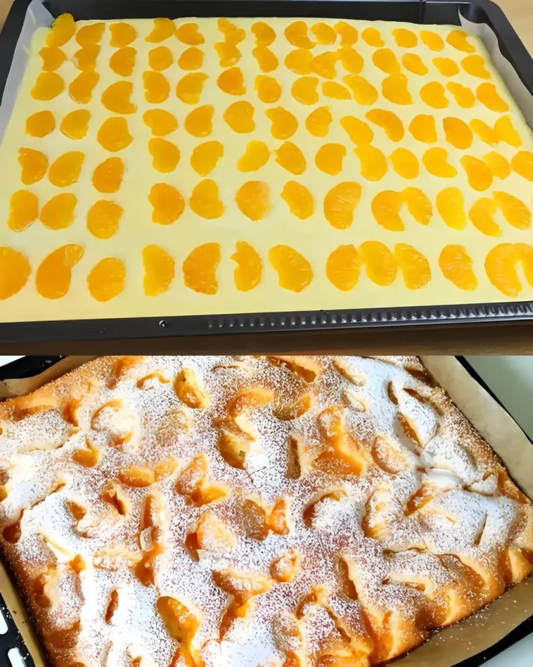 Mandarinen Blechkuchen in 10 Minuten 2 Mandarinen Blechkuchen auf einem Blech, schnell und einfach zubereitet