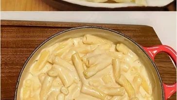 Nudeln in cremiger Knoblauch-Käse-Sauce auf einem Teller serviert