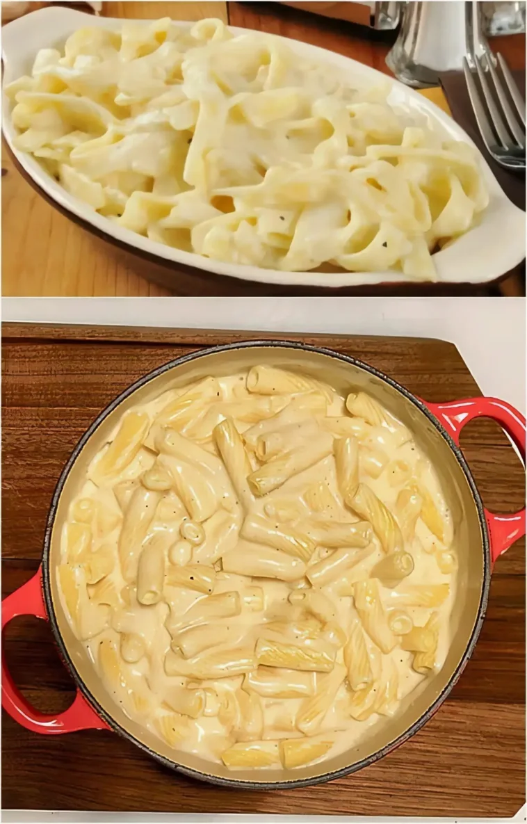 Nudeln in cremiger Knoblauch-Käse-Sauce 16 Nudeln in cremiger Knoblauch-Käse-Sauce auf einem Teller serviert