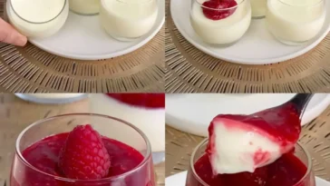 Panna Cotta Dessert mit frischen Himbeeren serviert auf einem Teller