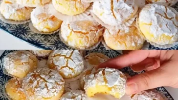 Frisch gebackene Orangenkekse auf einem Teller, dekoriert mit Orangenscheiben.
