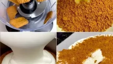 Sahnekäsekuchen serviert auf einem eleganten Teller, dekoriert mit Früchten.