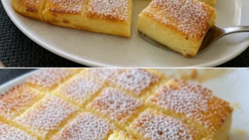 Blitz-Käsekuchen auf einem Teller serviert, einfach und lecker