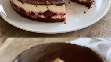 Käsetorte Schwarzwälder Art mit Schokolade und Kirschen dekoriert