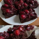 Kirschschokoladen Traumkuchen Rezept einfach mit saftigem Schokoladenteig und Kirschen