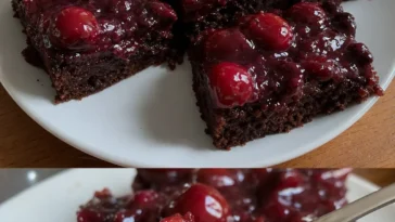 Kirschschokoladen Traumkuchen Rezept einfach mit saftigem Schokoladenteig und Kirschen