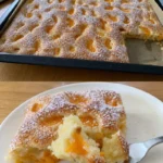 Mandarinen Blechkuchen in 10 Minuten 4 Leckerer Mandarinen Blechkuchen frisch aus dem Ofen