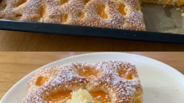 Leckerer Mandarinen Blechkuchen frisch aus dem Ofen
