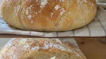 Saftiges Joghurtbrot aus Dinkelmehl frisch gebacken