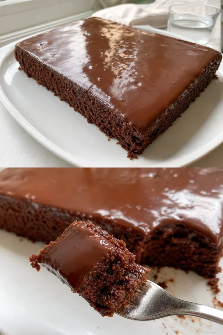 Schneller Schokokuchen Rezept in wenigen Minuten 1 Schneller Schokokuchen aus einem einfachen Rezept