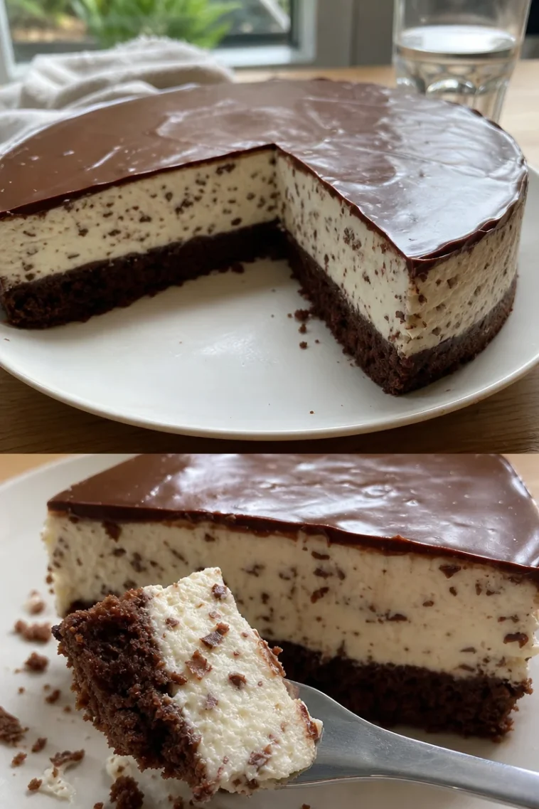 Stracciatella-Torte ohne Backen 1 Stracciatella-Torte ohne Backen auf einem Teller mit Schokoladenstückchen