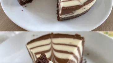 Zebrakuchen ohne Backen – köstliche Schichttorte mit Schokolade und Vanille